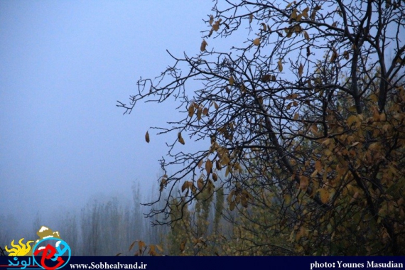 تماشای طبیعت پاییزی همدان از دریچه دوربین