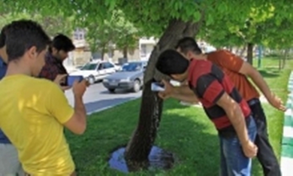 گزارش تصویری/ جوشش آب از دل درخت در همدان