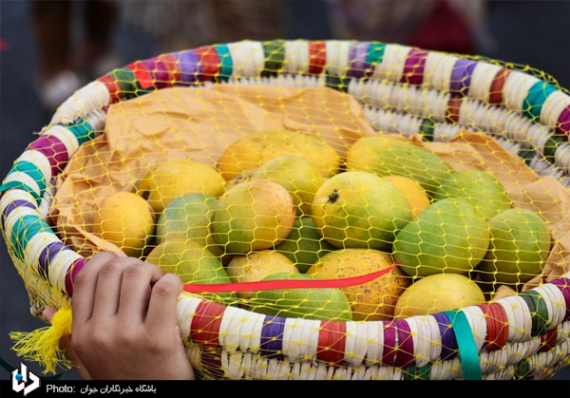 تصاویر/جشنواره شکرگزاری انبه در میناب