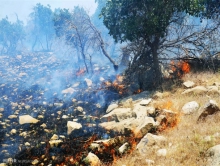 آتش بی مسئولیتی بر جان جنگل‌های کشور/ پیشگیری از آتش سوزی بر عهده کیست؟+تصاویر