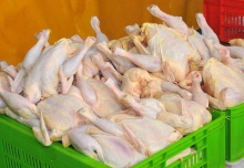 توقيف 5 تن مرغ ذبح شده قاچاق در همدان