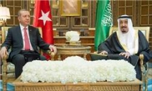 سفر رئیس جمهور ترکیه به عربستان بی ارتباط با شهادت آیت الله نمر نیست