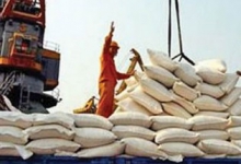 بازار برنج ایران روی انگشت تاجران هندی و پاکستانی می چرخد+نمودار