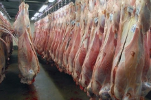 ایران روزانه ۱۷۰ تن گوشت قرمز به قطر صادر می‌کند
