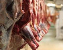 تولید 12 هزار تن گوشت قرمز در همدان