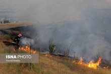 کاهش آتش‌سوزی در مراتع استان