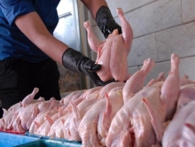 کاهش قیمت مرغ در همدان