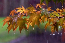 بارش های پاییزی در همدان ادامه دارد