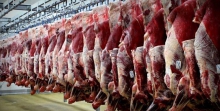 گوشت های منجمد، قیمت گوشت قرمز را کاهش داد