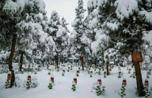 عکس/ سرداران بی پلاک در برف زمستان