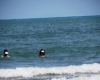 شنای مختلط زن مرد در سواحل گیلان+عکس