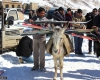 کلوپ اسکی مختلط دختر و پسر در افغانستان+تصاویر
