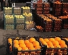 توزیع ۷۲ تن میوه طی ایام نوروز در شهرستان رزن