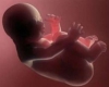 افزایش 43 درصدی صدور مجوز سقط درمانی در همدان